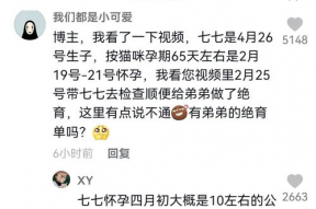 娱乐吃瓜君和七七道歉,揭秘背后真相
