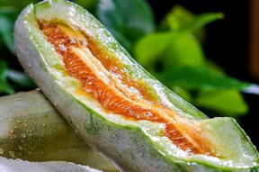 娱乐吃瓜作品有哪些类型,盘点热门作品，揭秘娱乐圈多元类型