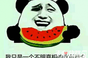 娱乐吃瓜酱谐音梗