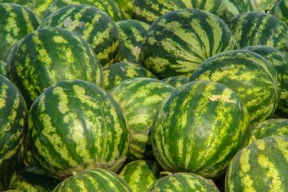 娱乐吃瓜酱广西,揭秘广西娱乐圈的那些事儿