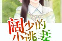 娱乐吃瓜酱妻子小说阅读,妻子背后的爱情故事