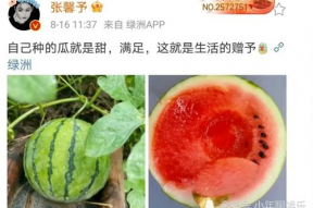 浮云娱乐吃瓜,揭秘娱乐圈最新吃瓜事件