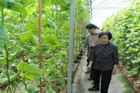娱乐吃瓜场地图片真实,一场视觉与味蕾的双重盛宴”