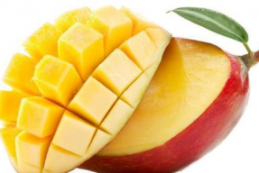 芒果娱乐吃瓜版,吃瓜群众热议的幕后真相