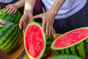 娱乐吃瓜酱中式be学,揭秘中式BE学生的酸甜苦辣
