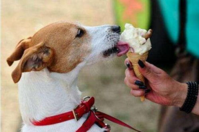 娱乐吃瓜菌狗,揭秘娱乐圈那些不为人知的幕后故事