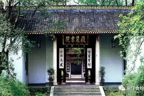 万柳书院娱乐吃瓜酱,揭秘娱乐圈幕后故事