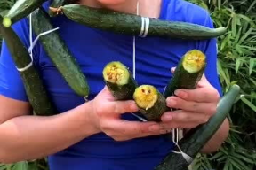 娱乐吃瓜酱精神小伙